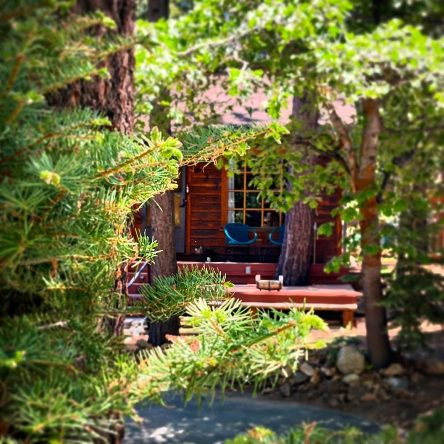 大熊湖The Nest On Towne Trail - Hot Tub, Bbq, Fire Pit别墅 外观 照片